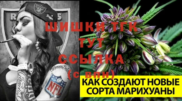 ALPHA PVP Нягань