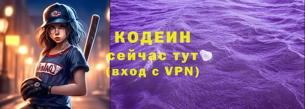 бошки Няндома