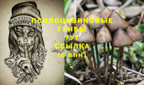 ГАЛЛЮЦИНОГЕННЫЕ ГРИБЫ Болотное