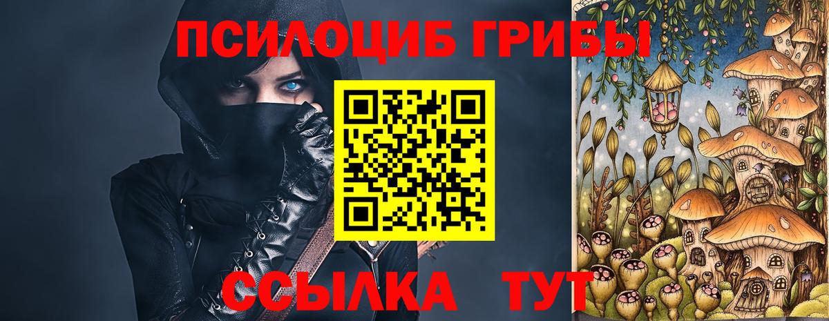 Псилоцибиновые грибы Psilocybe Старая Русса